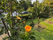 Casa en VENTA, Club de Golf Bellavista Cod. BV706