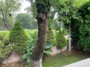 CASA EN VENTA CLUB DE GOLF LA HACIENDA