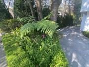 Casa en Venta Club de Golf Vallescondido Cod. VV509