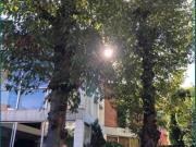 Casa en Venta Col. Chimalistac