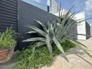 CASA EN VENTA CON PANELES SOLARES, GYM Y ALBERCA EN...