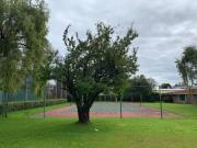 Casa en venta con uso de suelo en Carmen Serd?n Cipr?s...