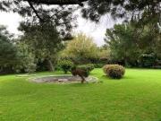 Casa en venta con uso de suelo en Carmen Serdán Ciprés...