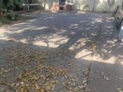 CASA EN VENTA CUMBRES 1ER SECTOR