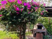 Casa en venta de 3 dormitorios c/ cochera en El Chañar