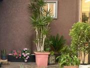 CASA EN VENTA DENTRO DE PRIVADA CON LOCAL COMERCIAL EN...