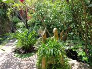 Casa en venta dentro de privada en Santa Mar?a, Cuernavaca