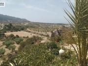 Casa en venta en Abanilla. Casa cueva en Abanilla muy...