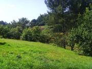 Casa en venta en Abegondo. Casas.