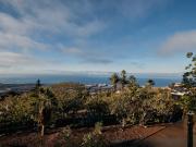 Casa en venta en Adeje, Callao Salvaje Playa Paraíso....