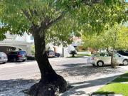 CASA EN VENTA EN AGUASCALIENTES NORTE PULGAS PANDAS SUR...