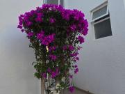 CASA EN VENTA EN ALAMOS, REMODELADA CON ELEVADOR, QUERÉTARO