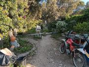 Casa en venta en Albalate de Zorita. Gran parcela...