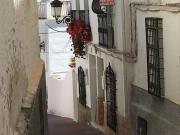 Casa en venta en Albánchez. Tejados reformados,...