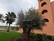 Casa en venta en Alcázares Los, Las Lomas de Rame Bahía...