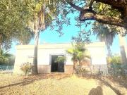 Casa en venta en Alcolea del Río. Tu Paraíso entre...