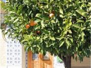 Casa en Venta en Aldaia