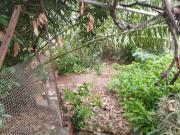 Casa en Venta en Algeciras