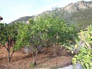 Casa en venta en Algodonales, Cádiz