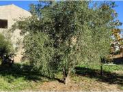 Casa en Venta en Alguazas