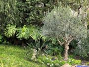 Casa en venta en Almuñécar, Cotobro. Típica villa...