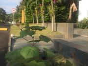 casa en venta en altos del lili. Cod V9033