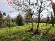 Casa en venta en Amoeiro. PAZO EN AMOEIRO PARA REFORMAR....
