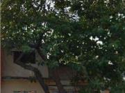 Casa en venta en Ampliación Casas Alemán, Gustavo A.... Casa en venta en Ampliación Casas Alemán, Gustavo A....