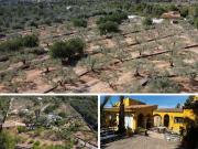 Casa en venta en Ampolla L´ Costa Dorada. L. Casas Ampolla.