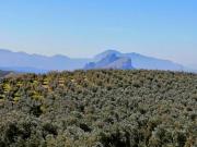 Casa en Venta en Archidona