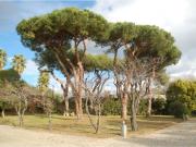 Casa en venta en Arenys de Munt, Arenys de Munt