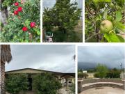 Casa en venta en Arteaga Centro, Arteaga, Coahuila de...