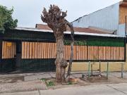 Casa en Venta en AV. Clotario Blest, Galo Gonzáles,...