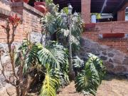 Casa en venta en Avándaro, Valle de Bravo, Estado De México