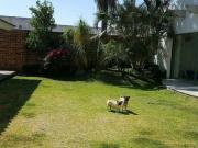 Casa en venta en Balcones del Campestre León, Guanajuato