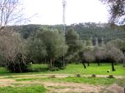 Casa en venta en Baleares Andratx, Sant Elm. Casas.