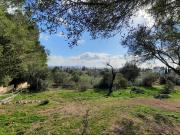 Casa en venta en Baleares Binissalem. FINCA EN...