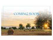 Casa en venta en Baleares Palma de Mallorca, Son Gual....