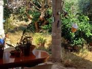 Casa en venta en Baleares Palma de Mallorca, Son Serra...