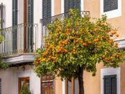 Casa en venta en Baleares Santanyí, Santanyí Poble....