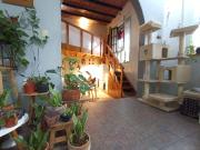 Casa en venta en Barrio Santa Catarina, Coyoacán, Ciudad...