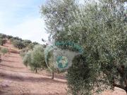 Casa en Venta en Benamejí