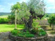 Casa en venta en Berantevilla. Casa en venta en...