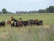 Casa en Venta en Bernasconi, Hucal, La Pampa, Argentina