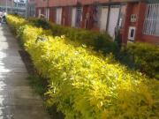 Casa en venta en Bogotá, Porvenir 360 CBM 683