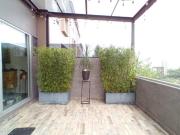 Casa en venta en Bosque Real