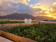 Casa adosada en venta en Buenavista del Norte....