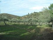 Casa en venta en Cáceres, Campus Universitario. Finca de...