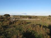 Casa en venta en Cáceres, Valdesalor Rincón de...