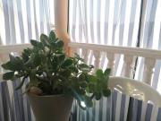 Casa en Venta en Calafell